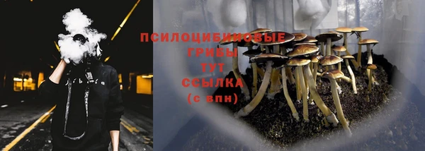 спиды Беломорск