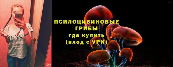 спиды Беломорск